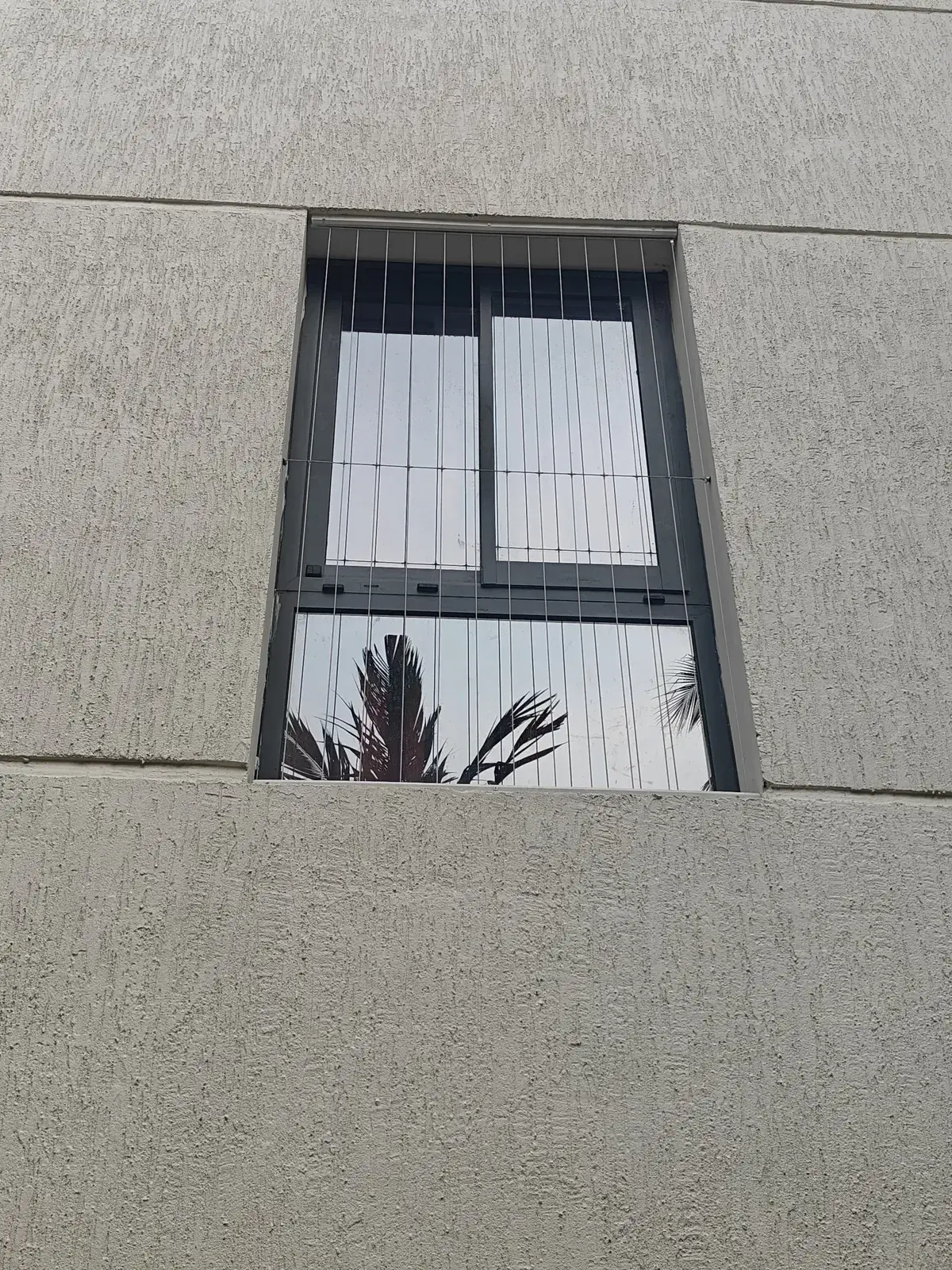 Window Invisible Grills by Dhanush Safety Nets, photo 28