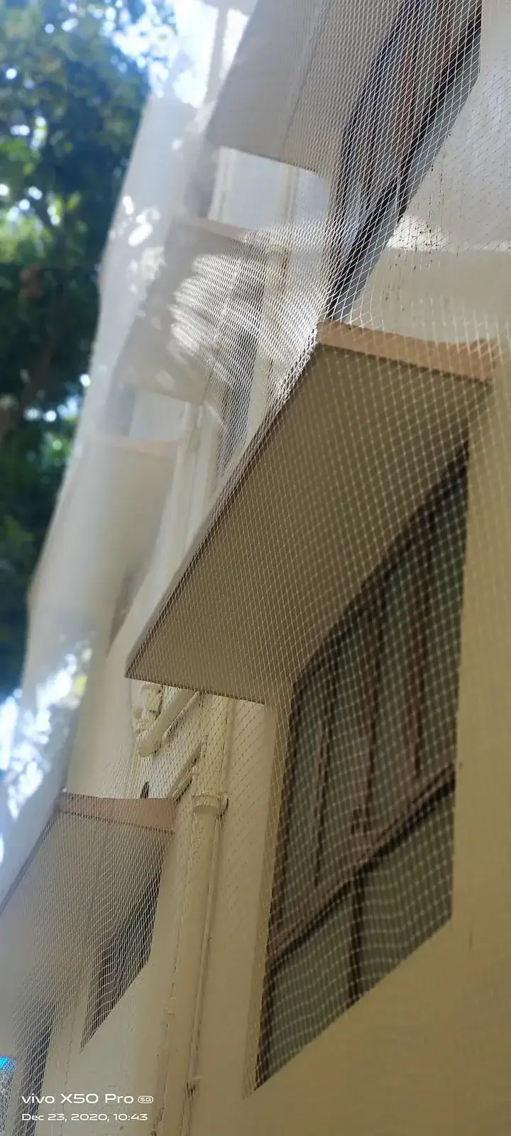 Pigeon Net for Windows by Dhanush Safety Nets, photo 18
