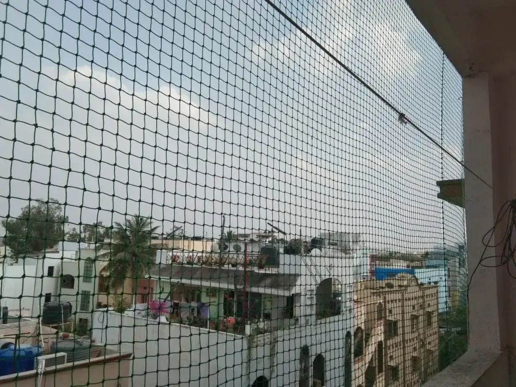 Pigeon Nets project completed by Dhanush Safety Nets