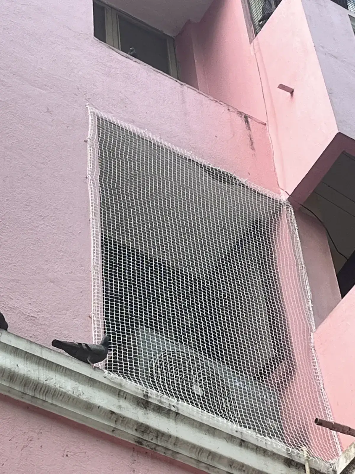 Window Pigeon Nets installed by Dhanush Safety Nets