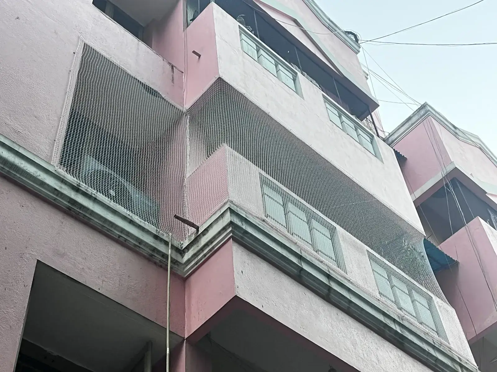 Completed pigeon net installation, view 1