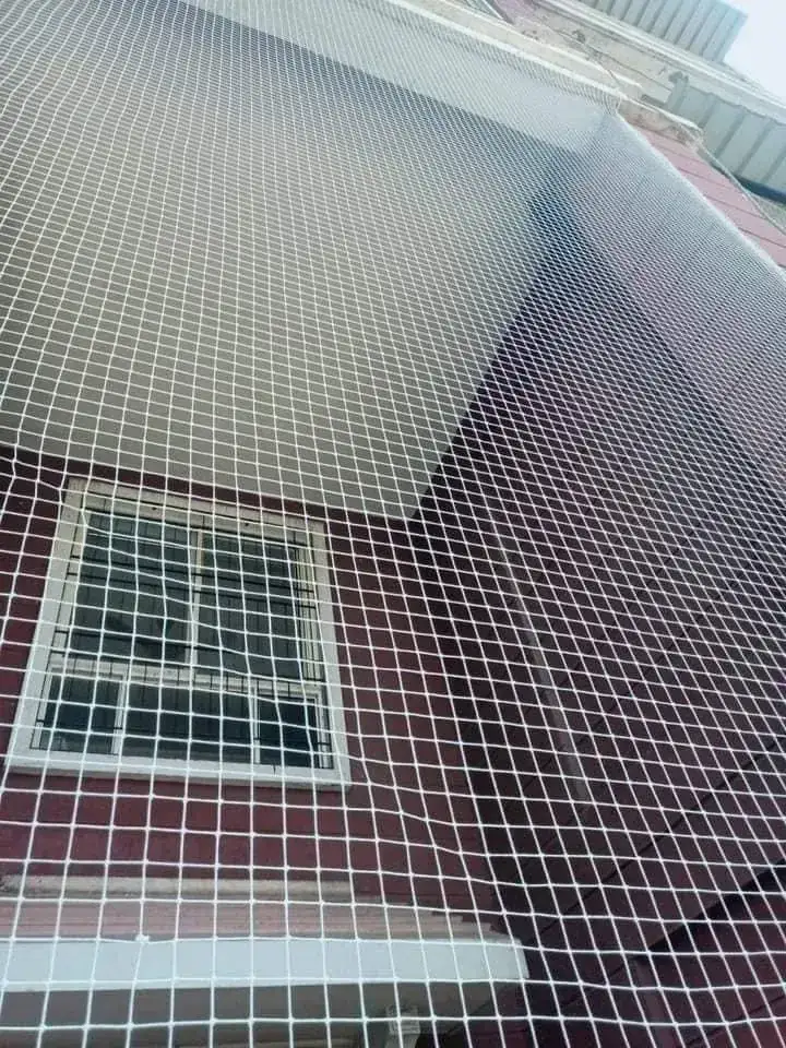 Window Safety Nets by Dhanush Safety Nets, photo 17