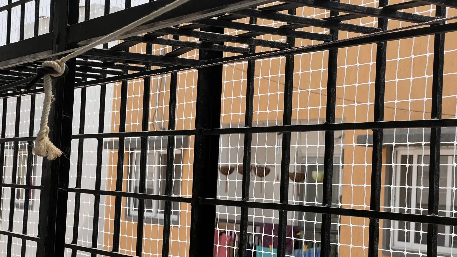 Balcony Safety Nets installed by Dhanush Safety Nets